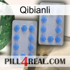 Qibianli 20